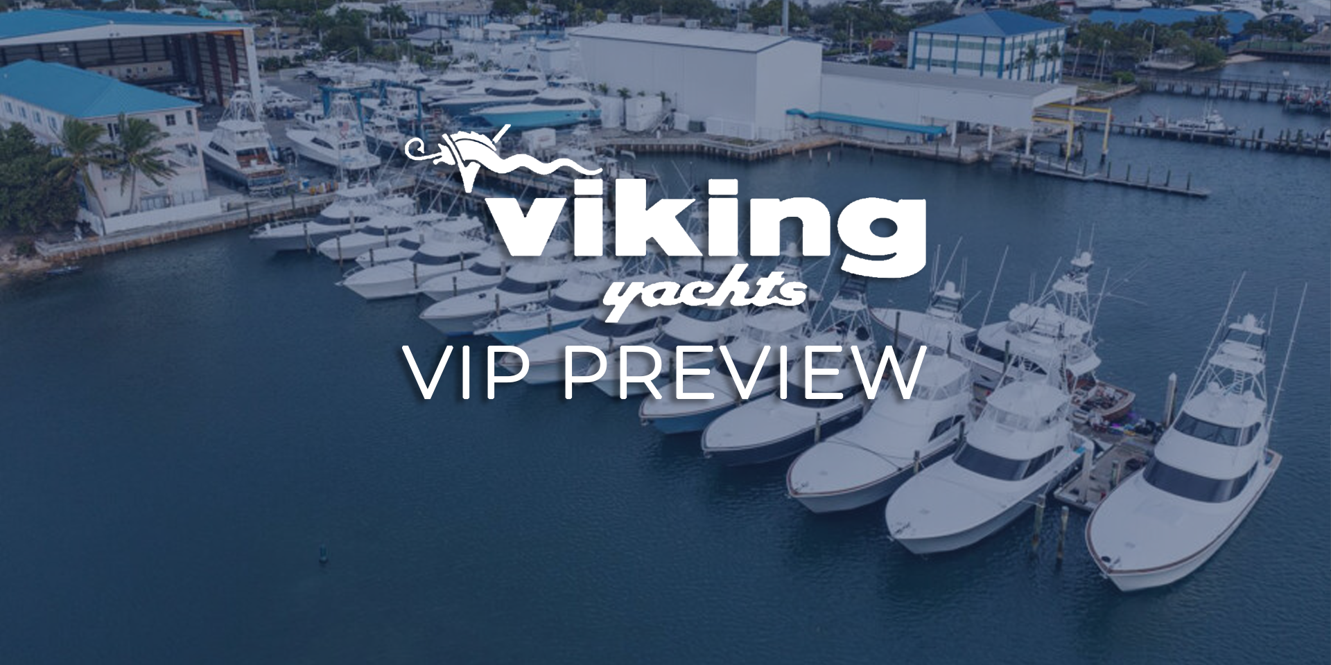 Viking VIP Event