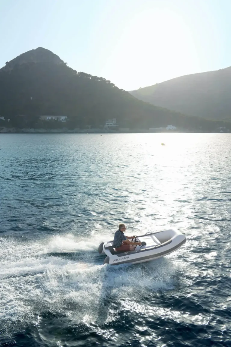 williams Mini Jet 280