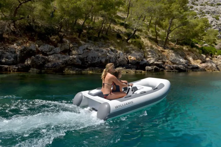 williams Mini Jet 280