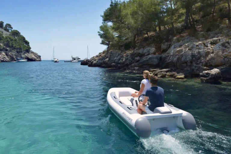 williams Mini Jet 280