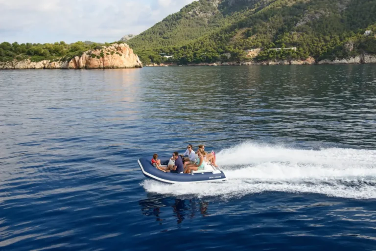 Williams Sport Jet 345