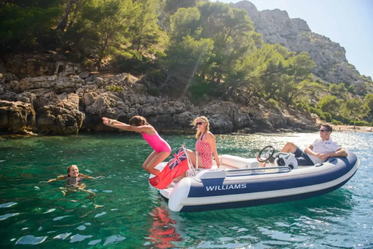 Williams Sport Jet 345