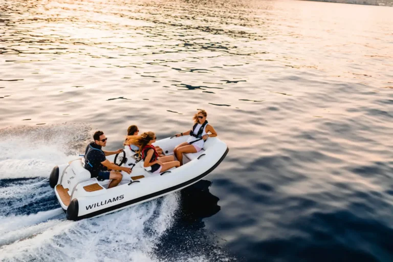 williams turbojet 325