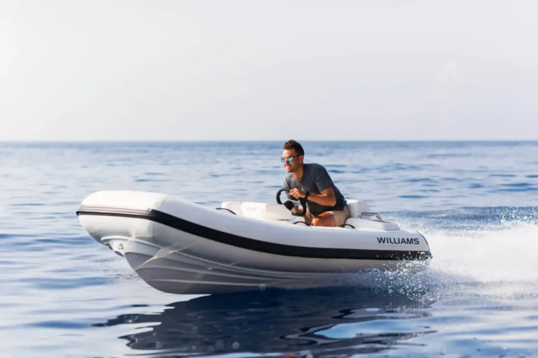 williams turbojet 325