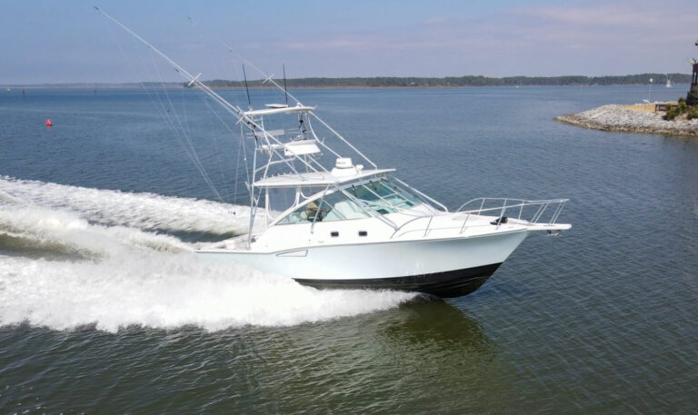 Cabo Yachts